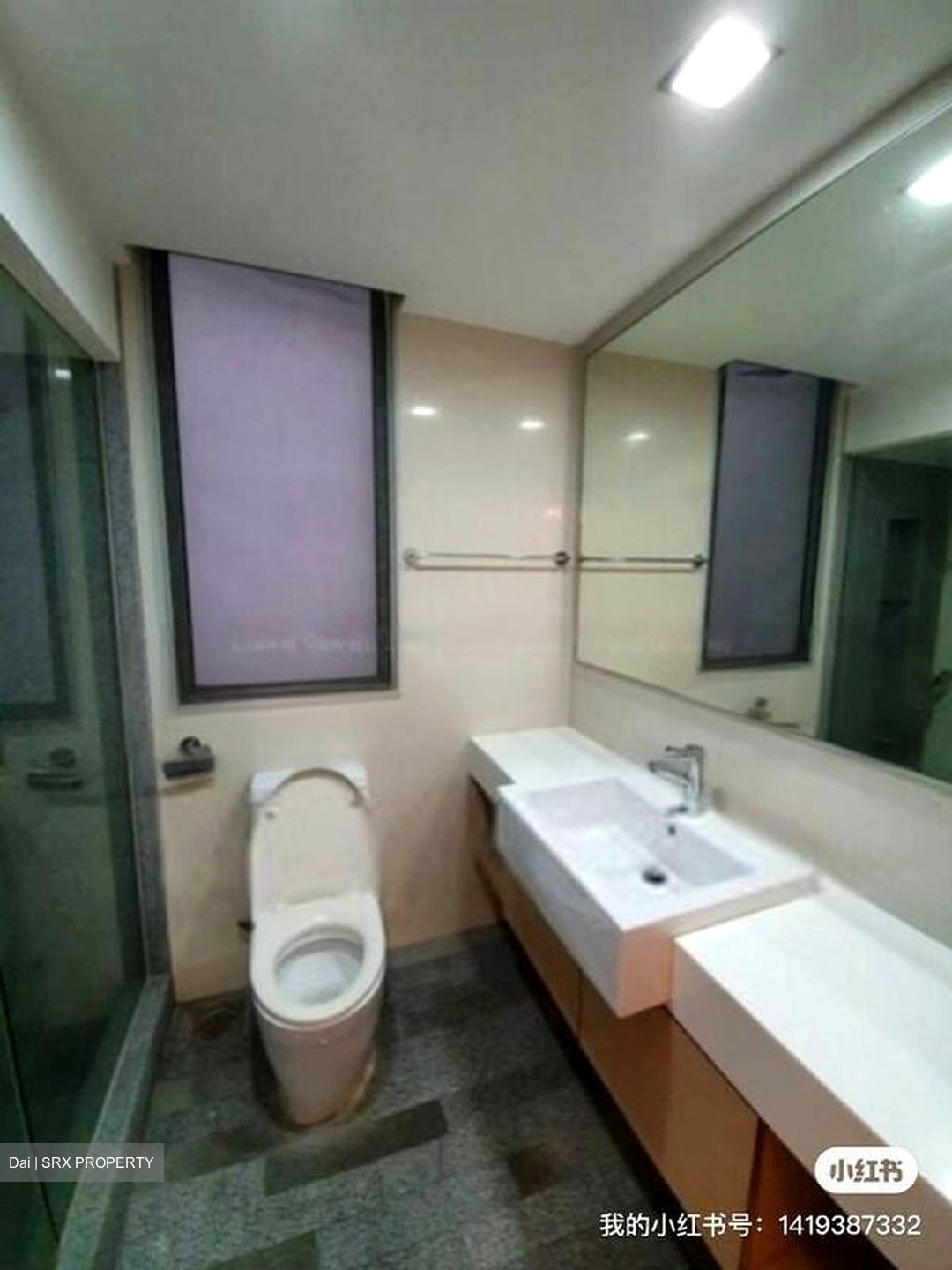 8 @ Mount Sophia (D9), Condominium #514587161